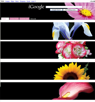 floral_igoogle.jpg (400×432)